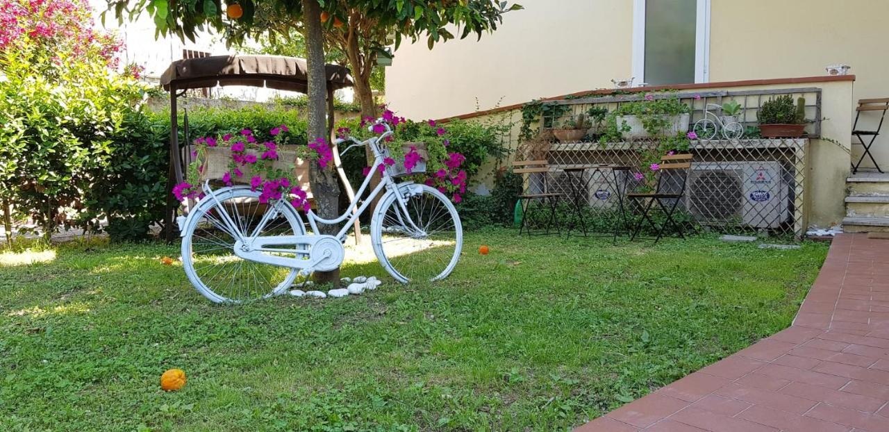 פיזה Villa Noemi Bed&Breakfast מראה חיצוני תמונה